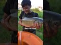 【戶外捕魚vlog】花1000塊包下一口多年沒幹的魚塘，沒想到裏面的魚這麼大... 三農 芒果