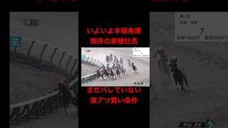 【競馬】期待のダート新種牡馬のめっちゃ儲かる買い条件【競馬検証】　#競馬検証 #血統予想 #スプリンターズs #ウマ娘