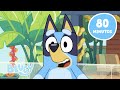 🔴AO VIVO: Melhores Momentos e Destaques dos Episódios de Bluey! 💙 ✨ | Bluey