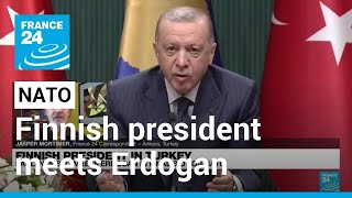 Finnish President Niinisto meets Turkey's Erdogan in final bid for NATO • FRANCE 24 English