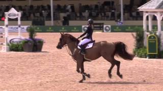 Camillo VDL - 2016 WEF 1.40m Open Jumpers