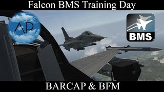 Falcon BMS  - BARCAP & BFM Online Training Day
