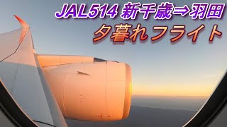 【機窓動画】 JAL514便　新千歳⇒羽田 夕暮れのフライト