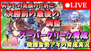 【ウマ娘】 あなたの笑顔のために、決勝前の最後の調整！　スーパークリーク育成　微課金勢アキの育成実況