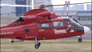 【ヘリコプター】 Eurocopter AS365 565 Dauphin 2 Panther JA01FD 東京消防庁航空隊「おおたか」の離陸（エンジンスタートアップから離陸まで）・東京ヘリ