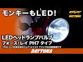 モンキーもled！_ledヘッドランプバルブ_フォース・レイ_ph7_188