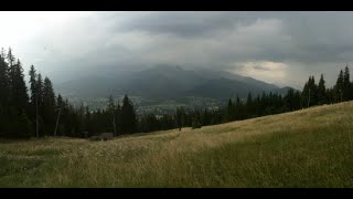 Deszcz i grzmot w mglistym lesie | Burza z piorunami wideo do snu, bezsenności i relaksu Zakopane