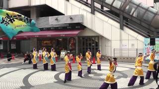 町田生ッスイ祭2010　相模It's彩楽祭