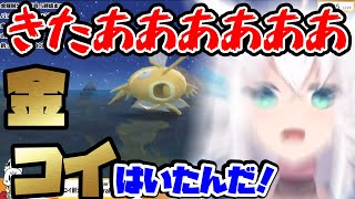 苦節27日目にして遂に！！遂に！！遂に金コイを釣り上げた白上フブキ【ホロライブ/切り抜き/白上フブキ】