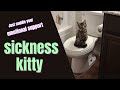 Cute Doctor Best Friend Takes Care Of You [F4A][Sick comfort][Sick listener x Dr Speaker][Caring]