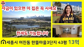 세종시 진짜 호수공원뷰 어진동 한뜰마을3단지 313동 4층 매매/ 전세 모두가능