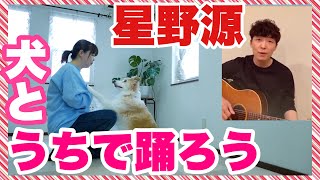 星野源「うちで踊ろう」をボーダーコリーと即興で踊ってみた