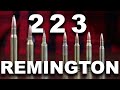 What Can the 223 Remington Really Do?