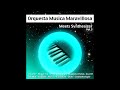 Magnetic Fields - Orquesta Música Maravillosa