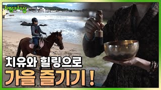 힐링 가득~ 가을을 맞이하는 방법! 치유와 힐링으로 가을 즐기기 🍂 | KBS 221017 방송