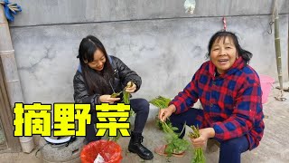 小伙放牛摘野菜回家，全家人都表揚我，老媽還要獎勵我一碗紅燒肉【石頭秀】