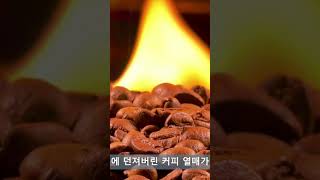 최초의 커피 발견