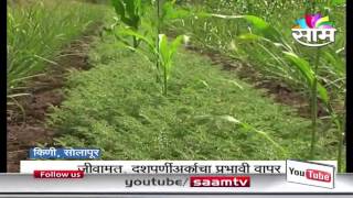 Pramod Hanjgi's natural harbara farming success story