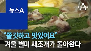 “쫄깃하고 맛있어요”…겨울 별미 새조개가 돌아왔다 | 뉴스A