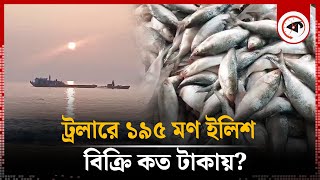 একসঙ্গে ধ'রা পড়ল ১৯৫ মণ ইলিশ, বিক্রি কত টাকায়? | Hilsa | Patuakhali | Kalbela