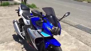 SUZUKI GSX250R スモーク　 スクリーン装着動画 アクリポイント