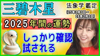 年間攻略【2025年の1年間★三碧木星★運勢＆開運方法】二十四節気『立春』2/3～翌2/3『節分』までの一年間の運勢占い【年間用】✨✨あなたが素敵に輝く年になる為のアドバイス✨✨