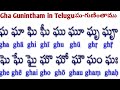 ఘా గుణింతాలు|gha gunintham|hiw to write and read gha gunintham |Telugu guninthalu|gunithalu gurthulu