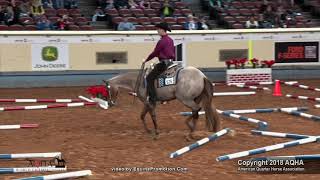 2018 AQHA Junior Trail