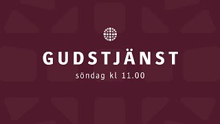 Gudstjänst 29 december – Predikan: Magnus Bramer