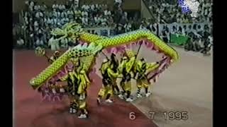 1995年中国挂绿杯国际龙狮大赛