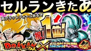 【ドッカンバトル】セルラン1位きたぁぁーっ！！両プラットフォーム龍石いけるぞ！！【Dokkan Battle】【地球育ちのげるし】