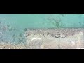 mavic2pro moment anamorphic