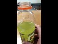 drinking expired gatorade from 2011 opening