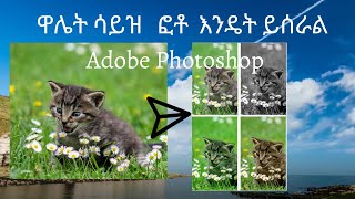 ዋሌት ሳይዝ  ፎቶ  እንዴት ይሰራል Adobe Photoshop