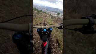 Tarouca DH track