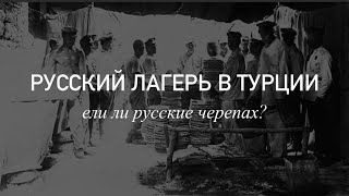 Русский лагерь в Галлиполи (Гелиболу). Французский паёк, красный крест и черепахи.