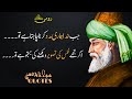 Maulana Rumi Quotes | Nafs ki Tasveer | RUMI URDU QUOTES