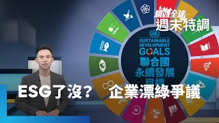 企業瘋減碳！ESG是真愛地球　還是漂綠騙局？｜鏡轉全球週末特調 #鏡新聞