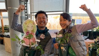 咲くやこの花館　クリスマスローズ展