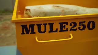 Meet Mule 250 – Your Reliable Partner for Efficient Loading!