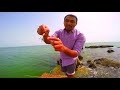 കൈചൂണ്ട ഇടുമ്പോൾ ഈ ഐഡിയ ഒന്ന് പരീക്ഷിക്കൂ natural fishing new idea.