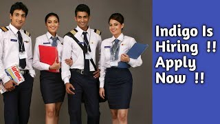 Indigo Is Hiring  !! Apply Now !!