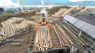 Logs to Lumber - An aerial journey through the sawmill