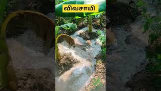 #விவசாயிக்கு ஒரு like போடுங்க மக்கள்#விவசாயம் #viral