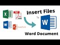 How to Insert/Embed Files to Word Document (2020)