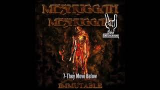 Meshuggah 7- They Move Below ( Immutable 2022 )