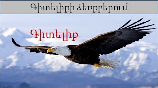 89   Ինչ գիտելիքներ են պետք մարդուն կյանքի տարբեր իրավիճակներում ճիշտ քայլեր անելու համար: