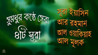 সুমধুর কণ্ঠে সেরা ৪ টি সূরা -সূরা ইয়াসিন, আর রহমান, আল ওয়াকিয়াহ, আল মূলক l Recited By Alaa Aqel