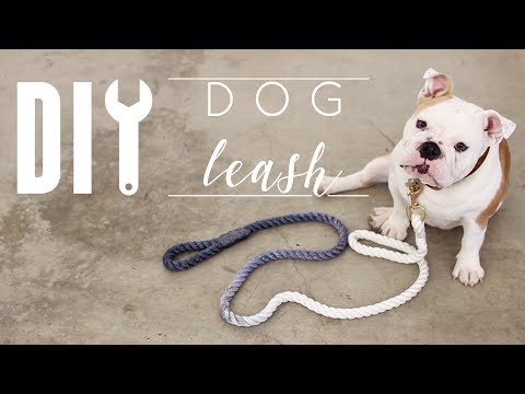 DIY Dog Leash DIY Dog Leash