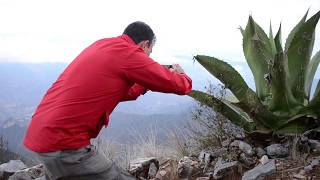 Mirador 4 palos en la Sierra Gorda Queretana